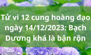 Tử vi 12 cung hoàng đạo ngày 14/12/2023: Bạch Dương khá là bận rộn