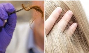Sợi tóc phân hủy được không và bao nhiêu lâu để phân hủy?
