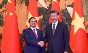 Truyền thông Trung Quốc đề cao chuyến thăm Việt Nam của Chủ tịch Tập Cận Bình