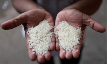 Ấn Độ cho phép xuất khẩu gạo trắng non-basmati bị kẹt tại cảng