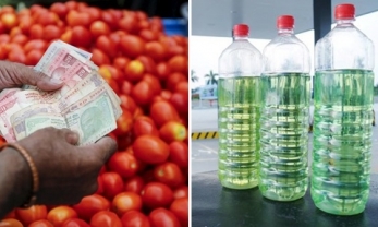 Cà chua tăng giá, đắt hơn cả xăng do biến đổi khí hậu