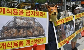 Hàn Quốc sẽ cấm bán và tiêu thụ thịt chó từ năm 2027?