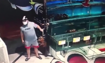 Hà Nội: Trộm tôm hùm khổng lồ tại nhà hàng hải sản