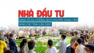 Nhà đầu tư đang có xu hướng dịch chuyển dòng tiền sang các tỉnh lân cận?