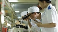 Công nghệ sinh học mở đường cho nông nghiệp xanh hiện đại