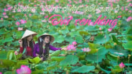 Những 'dòng chảy' đổi thay ở 'Đất sen hồng'