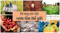 Thanh Hóa: Nông dân vùng cao số hóa nông sản mở rộng thị trường