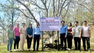Kết quả thực hiện Đề tài KH&CN cấp tỉnh “Nghiên cứu ứng dụng các giải pháp khoa học công nghệ phát triển sản xuất giống lê nâu bản địa tại huyện Na Hang”