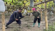 Phụ nữ vùng cao Bắc Kạn với công nghệ số