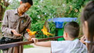 Tặng con mùa hè đáng nhớ – học điều hay từ thế giới diệu kỳ VinWonders Nam Hội An