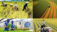 Công nghệ nội địa và bài toán tận dụng phụ phẩm nông nghiệp hiệu quả