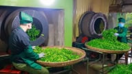 JIT là chìa khóa nâng cao năng suất, đột phá chất lượng trong doanh nghiệp hiện đại