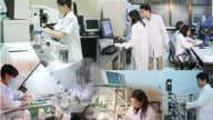 Nhiều chính sách trọng dụng nhà khoa học người Việt Nam ở nước ngoài, chuyên gia nước ngoài