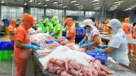 Cá tra Việt Nam giữ đà tăng trưởng xuất khẩu giữa biến động chính sách và thị trường