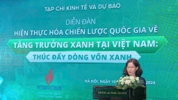 Hiện thực hóa chiến lược quốc gia về tăng trưởng xanh tại Việt Nam