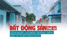 Bất động sản thổ cư “lên ngôi”, có nên “xuống tiền” đầu tư thời điểm này?