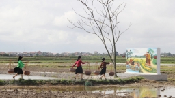 Quê hương của nữ sĩ Việt Nam duy nhất được UNESCO vinh danh là Danh nhân văn hóa thế giới chính thức trở thành điểm du lịch