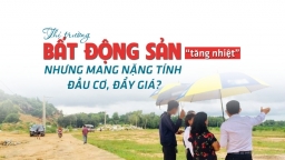 Thị trường bất động sản “tăng nhiệt” nhưng mang nặng tính đầu cơ, đẩy giá?