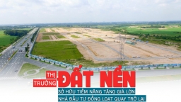 Thị trường đất nền: Sở hữu tiềm năng tăng giá, nhà đầu tư đồng loạt quay trở lại