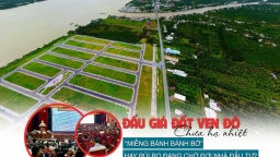 Đất đấu giá ven đô vẫn chưa hạ nhiệt