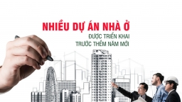 Nhiều dự án nhà ở được triển khai trước thềm năm mới