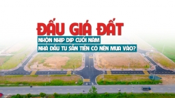 Đấu giá đất nhộn nhịp dịp cuối năm, nhà đầu tư sẵn tiền có nên mua vào?