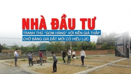 Nhà đầu tư tranh thủ “gom hàng” với nền giá thấp, chờ bảng giá đất mới có hiệu lực?