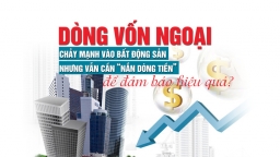 Dòng vốn ngoại chảy mạnh vào bất động sản nhưng vẫn cần “nắn dòng tiền” để đảm bảo hiệu quả?