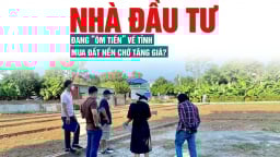 Nhà đầu tư đang “ôm tiền” về tỉnh mua đất nền chờ tăng giá?