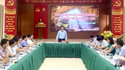 Phong Nha – Kẻ Bàng: Đẩy mạnh bảo tồn và phát triển du lịch gắn với chuyển đổi số