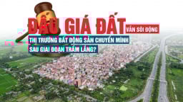 Đấu giá đất vẫn sôi động: Thị trường bất động sản chuyển mình sau giai đoạn trầm lắng?