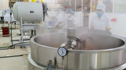 Bavabi nâng tầm chất lượng với chứng nhận HACCP