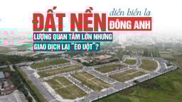 Đất nền Đông Anh diễn biến lạ: Lượng quan tâm lớn nhưng giao dịch lại “èo uột”?
