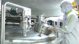 FSSC 22000 – 'Hộ chiếu vàng' đưa thực phẩm Việt vươn ra thế giới