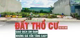 Nghịch lý đất thổ cư tại Hà Nội: Giao dịch ảm đạm nhưng giá vẫn tăng cao?
