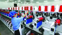 Hệ thống quản lý môi trường ISO 14000 mang lại nhiều lợi ích cho doanh nghiệp