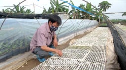 Nam Định xác định 5 khâu đột phá để hiện thực hóa khát vọng phát triển KHCN, ĐMST và CĐS
