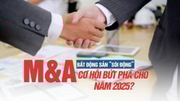 Thị trường M&A bất động sản sôi động, cơ hội bứt phá cho năm 2025?