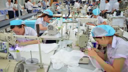 ISO 45001, ISO 9001 và TPM: Bộ ba giúp doanh nghiệp Việt nâng tầm chất lượng