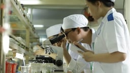 Công nghệ sinh học mở đường cho nông nghiệp xanh hiện đại
