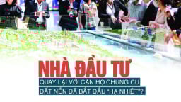 Nhà đầu tư quay lại với căn hộ chung cư, đất nền đã bắt đầu “hạ nhiệt”?