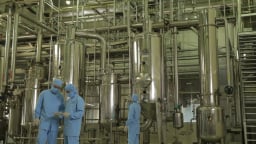 Một số yếu tố quan trọng giúp doanh nghiệp áp dụng thành công ISO 9001