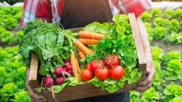 Nông nghiệp hữu cơ: Hành trình kiến tạo niềm tin từ những nguyên tắc bền vững