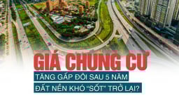 Giá chung cư tăng gấp đôi sau 5 năm, đất nền khó “sốt” trở lại?