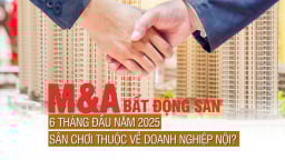 M&A bất động sản 6 Tháng Đầu Năm 2025: Sân chơi thuộc về doanh nghiệp nội?