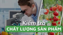 Kiểm soát chặt thực phẩm và thực phẩm bảo vệ sức khỏe theo tiêu chuẩn quốc tế