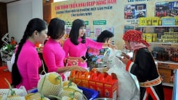 Đánh giá, phân hạng sản phẩm OCOP được chia thành 02 cấp