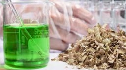 Bộ ba tiêu chuẩn về nhiên liệu sinh học rắn