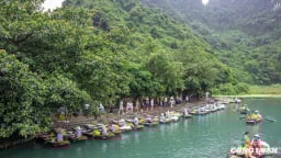 Ninh Bình: Tốc độ tăng trưởng GRDP đạt 10,46%