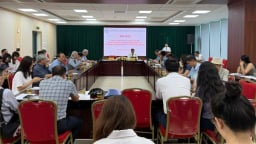 Phát huy sức mạnh của đội ngũ trí thức trẻ trong bối cảnh chuyển đổi lớn của đất nước
